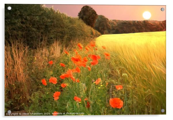 Sunset Poppies Acrylic by Alison Chambers