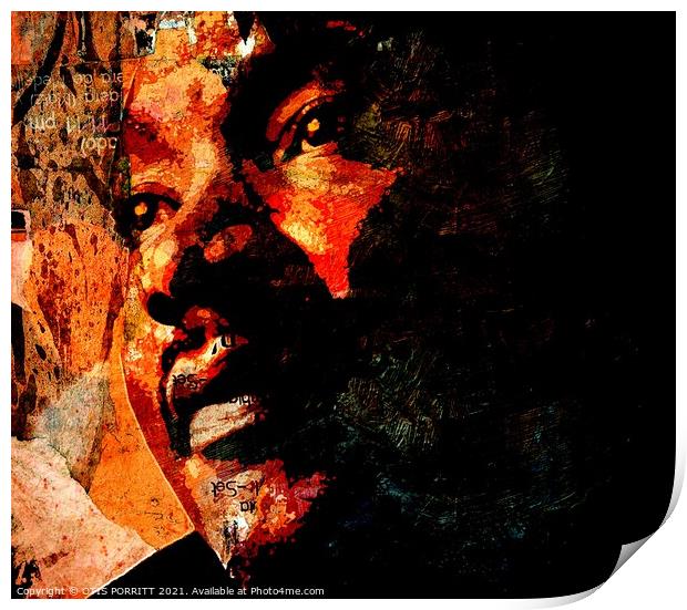 MLK JR 2 Print by OTIS PORRITT