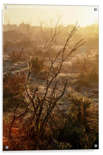 Misty morning in The New Forest Acrylic by Derek Daniel