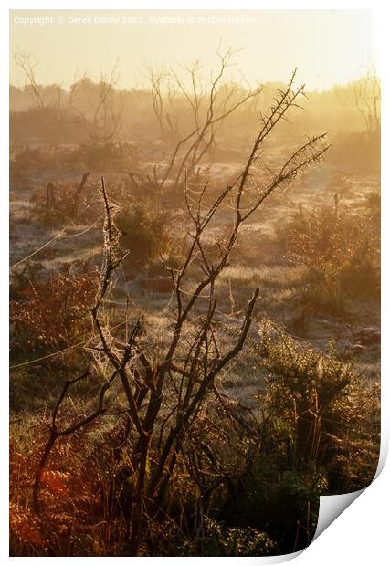 Misty morning in The New Forest Print by Derek Daniel