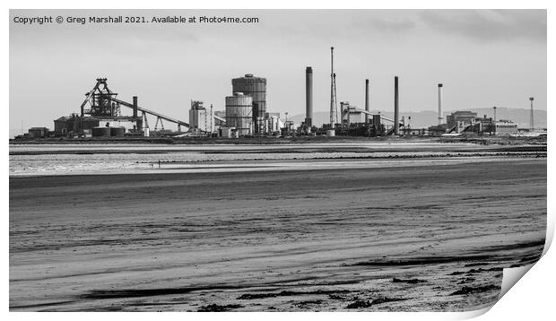Redcar Steelworks from The North Gare Teesside - M Print by Greg Marshall