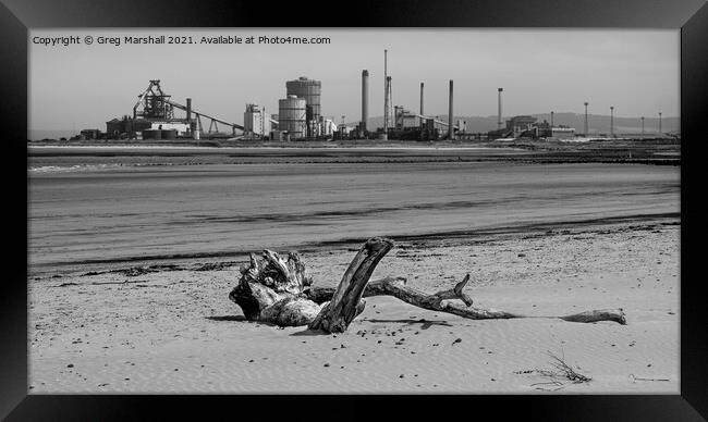 Redcar Steel works and a dead tree - mono beach sc Framed Print by Greg Marshall