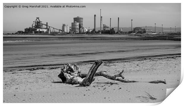 Redcar Steel works and a dead tree - mono beach sc Print by Greg Marshall