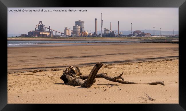 Redcar Steel works and a dead tree - a beach scene Framed Print by Greg Marshall