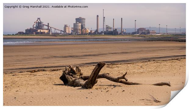 Redcar Steel works and a dead tree - a beach scene Print by Greg Marshall