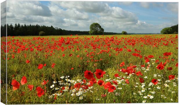 Outdoor field Canvas Print by Simon Johnson