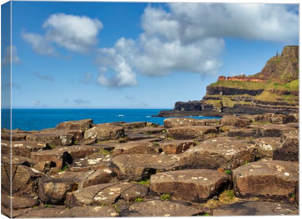 The Giants Causeway Canvas Print by Mark Llewellyn