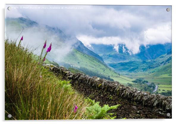Nant Ffrancon Outdoor View Snowdonia Wales Acrylic by Pearl Bucknall