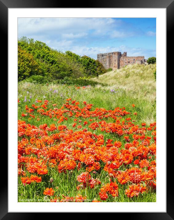 Bamburgh Poppies, Northumberland Framed Mounted Print by Jim Monk