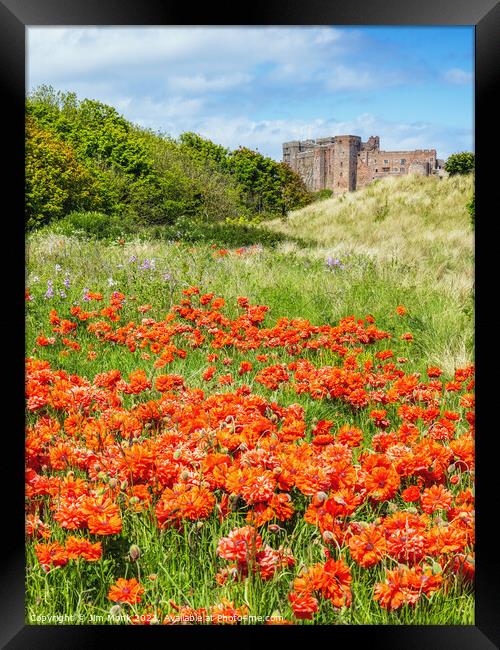 Bamburgh Poppies, Northumberland Framed Print by Jim Monk