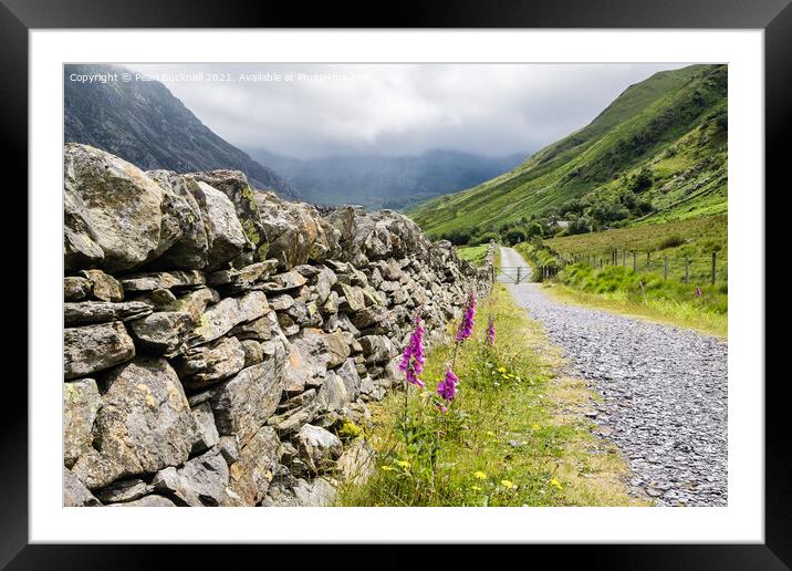 Country Lane Nant Ffrancon Snowdonia Wales Framed Mounted Print by Pearl Bucknall