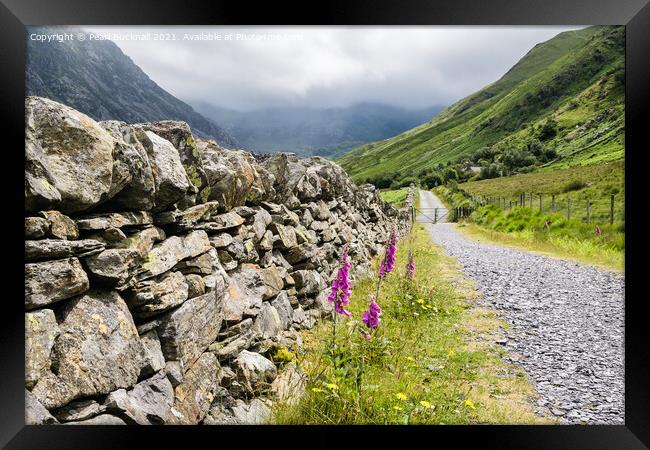 Country Lane Nant Ffrancon Snowdonia Wales Framed Print by Pearl Bucknall