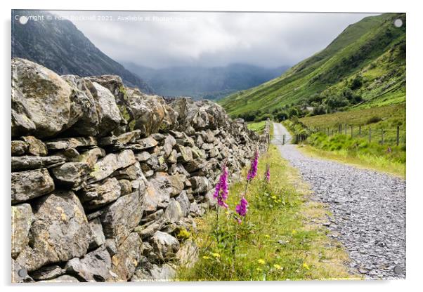 Country Lane Nant Ffrancon Snowdonia Wales Acrylic by Pearl Bucknall