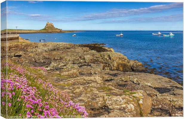 Across the harbour to Lindisfarne Castle  Canvas Print by Jim Monk