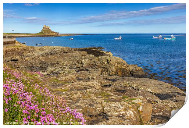 Across the harbour to Lindisfarne Castle  Print by Jim Monk