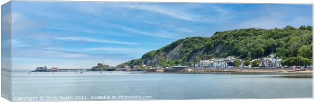 Oystermouth and  Mumbles Lighthouse, and the Gower Canvas Print by Chris North
