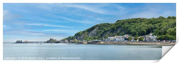 Oystermouth and  Mumbles Lighthouse, and the Gower Print by Chris North