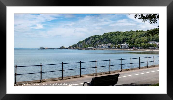 Oystermouth village and the Mumbles Lighthouse. Framed Mounted Print by Chris North