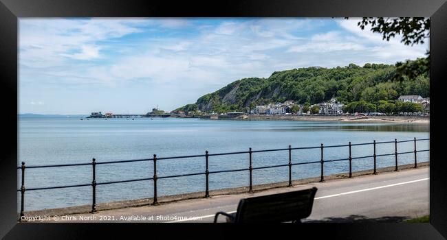 Oystermouth village and the Mumbles Lighthouse. Framed Print by Chris North