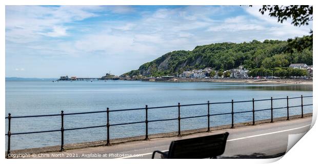Oystermouth village and the Mumbles Lighthouse. Print by Chris North