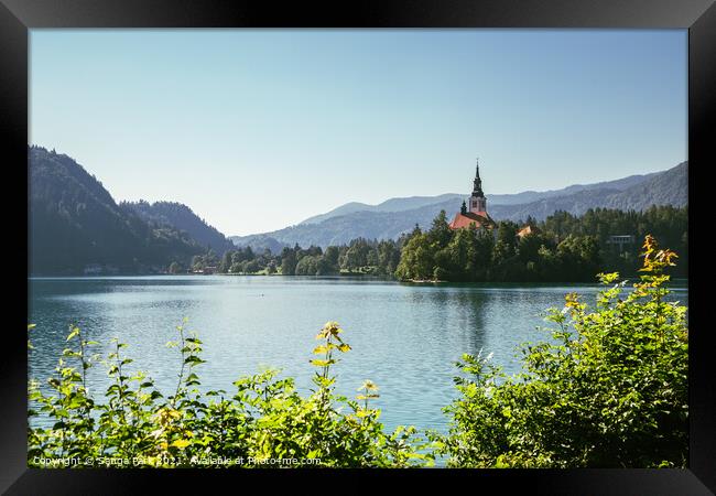 Lake Bled Framed Print by Sanga Park