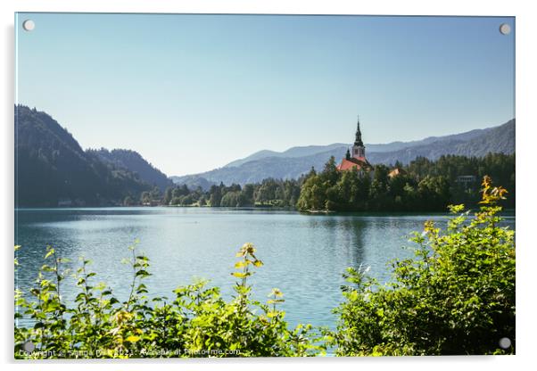 Lake Bled Acrylic by Sanga Park
