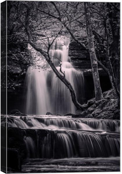 Summerhill Force at Gibson's Cave Canvas Print by Liam Neon