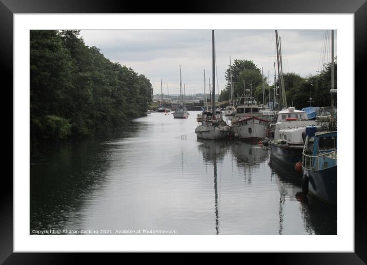 Lydney harbour, Gloucestershire. Framed Mounted Print by Sharon Cocking