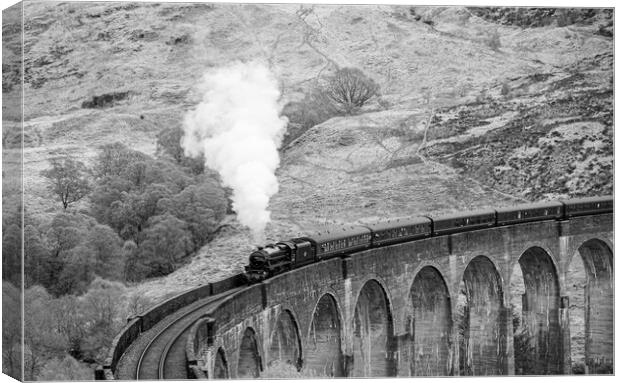Glenfinnan viaduct Jacobite steam train Canvas Print by stuart bingham