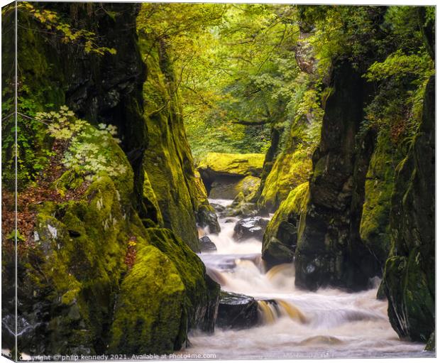 Fairy Glen North Wales Canvas Print by philip kennedy