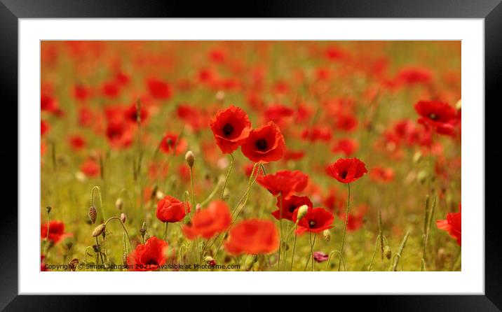 Pair of poppies Framed Mounted Print by Simon Johnson