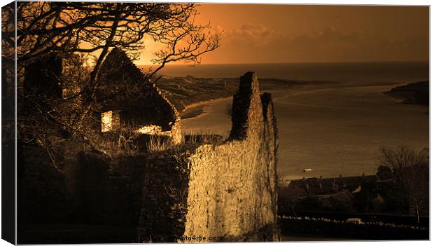 View from the Ruins of Dundrum Castle Canvas Print by pauline morris