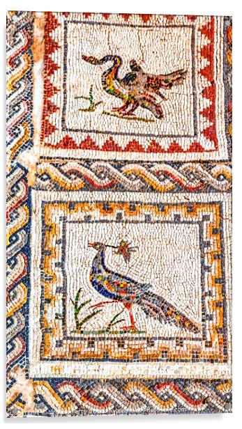 Colorful Ancient Birds Mosaic Italica Roman City Seville Andalus Acrylic by William Perry
