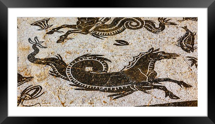 Ancient Horse Serpent Mosaic Italica Roman City Seville Andalusi Framed Mounted Print by William Perry