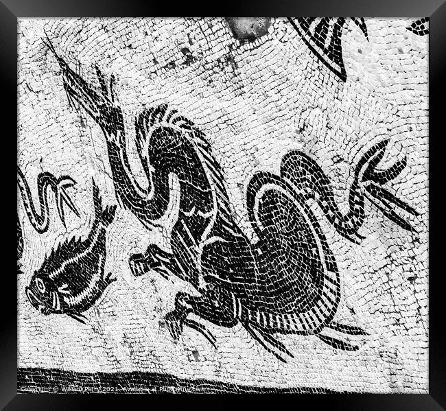 Ancient Dragon Fish Mosaic Italica Roman City Seville Andalusia  Framed Print by William Perry