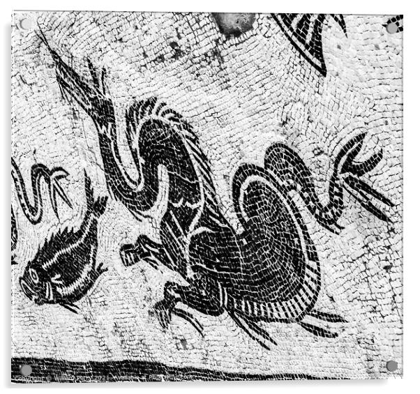 Ancient Dragon Fish Mosaic Italica Roman City Seville Andalusia  Acrylic by William Perry