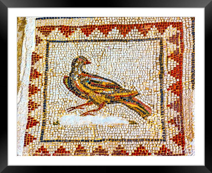 Colorful Ancient Bird Mosaic Italica Roman City Seville Andalusi Framed Mounted Print by William Perry