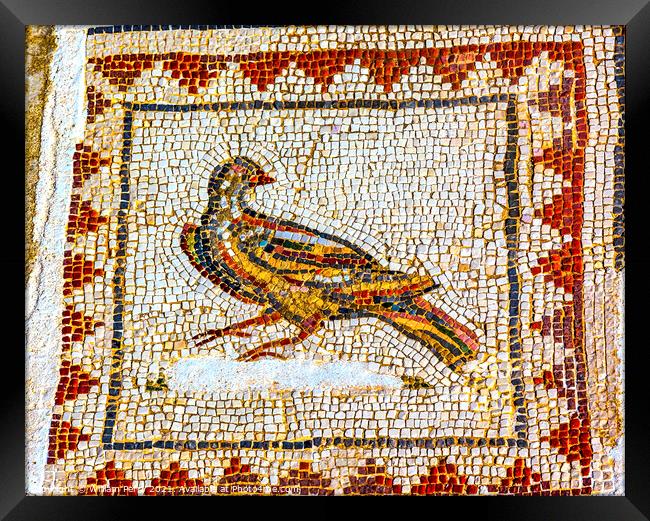 Colorful Ancient Bird Mosaic Italica Roman City Seville Andalusi Framed Print by William Perry
