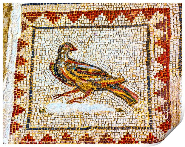 Colorful Ancient Bird Mosaic Italica Roman City Seville Andalusi Print by William Perry