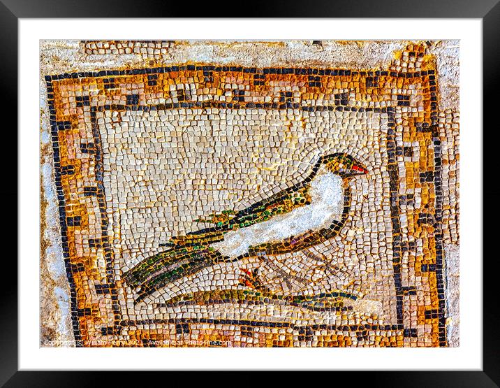 Colorful Ancient Bird Mosaic Italica Roman City Seville Andalusi Framed Mounted Print by William Perry
