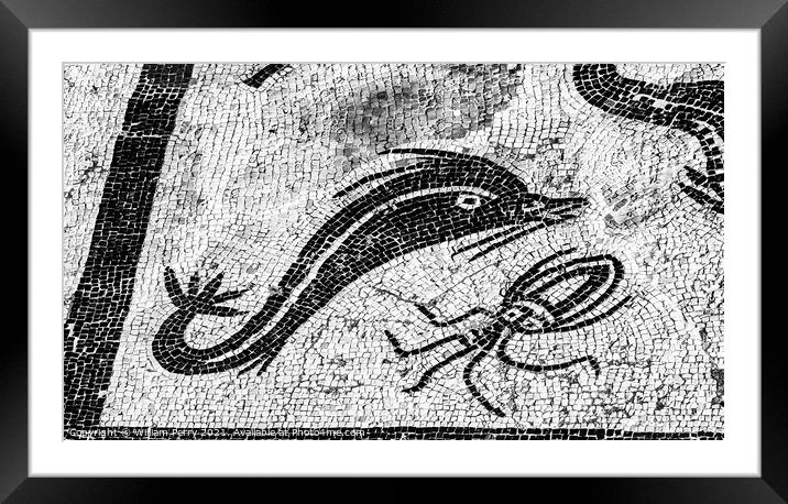 Ancient Porpoise Squid Mosaic Italica Roman City Seville Andalus Framed Mounted Print by William Perry