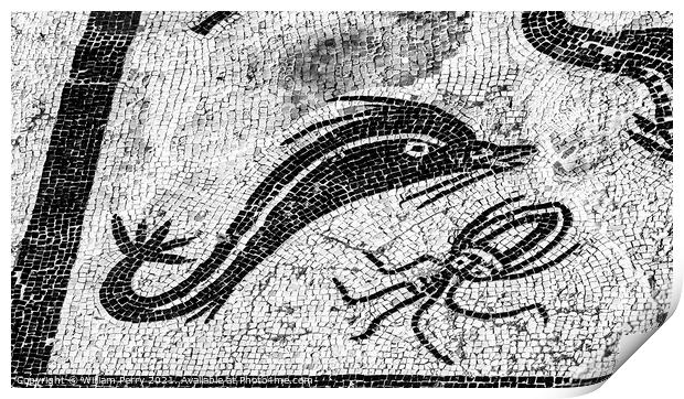 Ancient Porpoise Squid Mosaic Italica Roman City Seville Andalus Print by William Perry