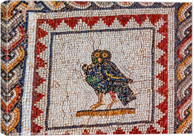 Colorful Ancient Owl Bird Mosaic Italica Roman City Seville Spain Canvas Print by William Perry