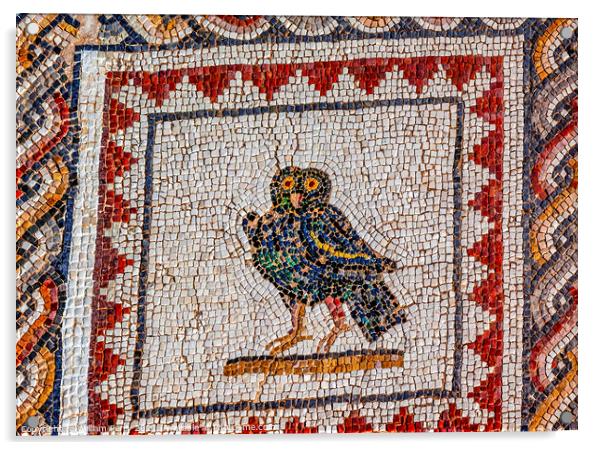 Colorful Ancient Owl Bird Mosaic Italica Roman City Seville Spain Acrylic by William Perry