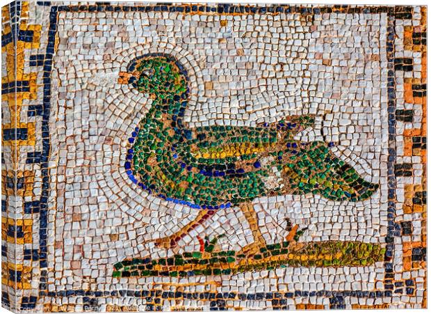 Colorful Ancient Duck Bird Mosaic Italica Roman City Seville Spa Canvas Print by William Perry