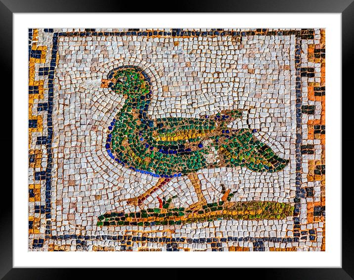 Colorful Ancient Duck Bird Mosaic Italica Roman City Seville Spa Framed Mounted Print by William Perry