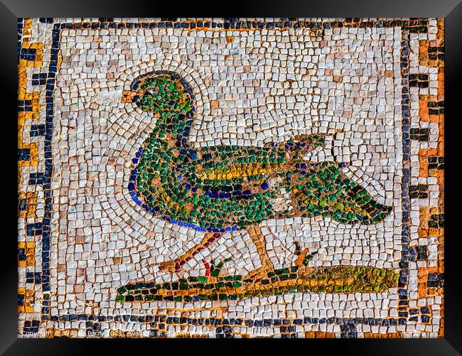 Colorful Ancient Duck Bird Mosaic Italica Roman City Seville Spa Framed Print by William Perry
