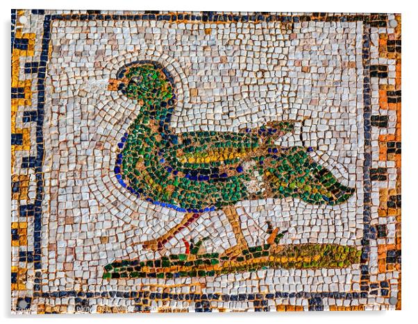 Colorful Ancient Duck Bird Mosaic Italica Roman City Seville Spa Acrylic by William Perry