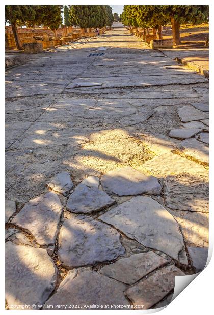 Ancient Road Ruins Italica Roman City Seville Andalusia Spain  Print by William Perry