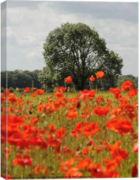 Wind blown poppies and tree Canvas Print by Simon Johnson